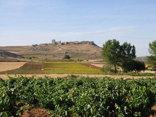 Ruta de la Ribera del Duero